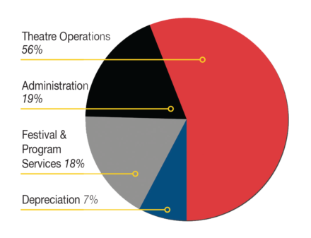 Chatham Film Club Annual Report Pie Chart showing income in 2017